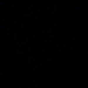 Lots of pretty clothes 🌸🤍